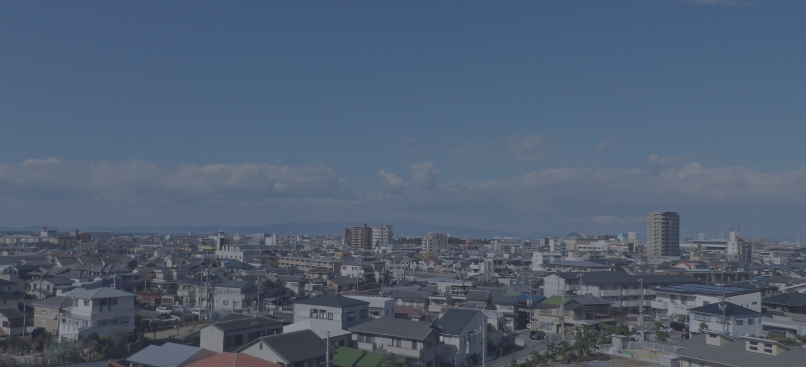 企業情報