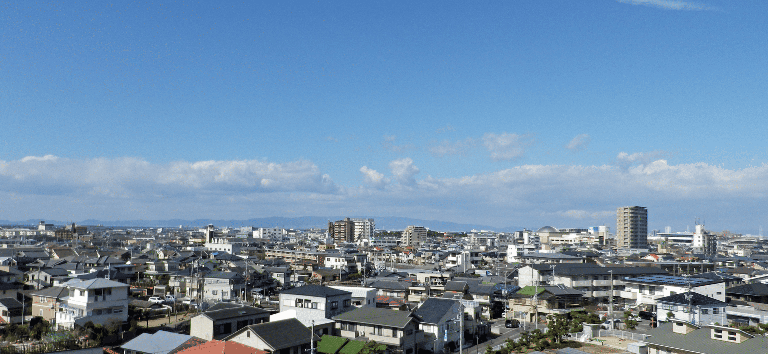 企業情報