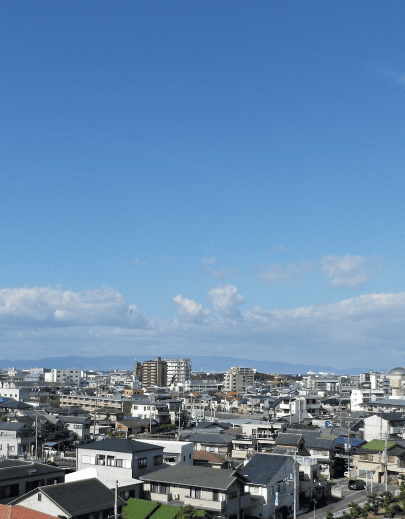 企業情報
